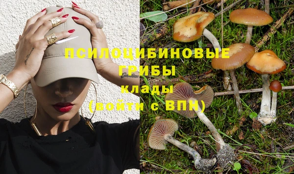 кокаин колумбия Иннополис