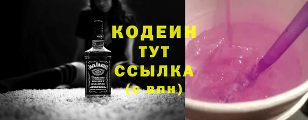 дживик Каменногорск