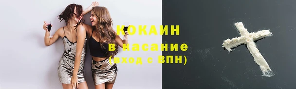 стаф Каменск-Шахтинский