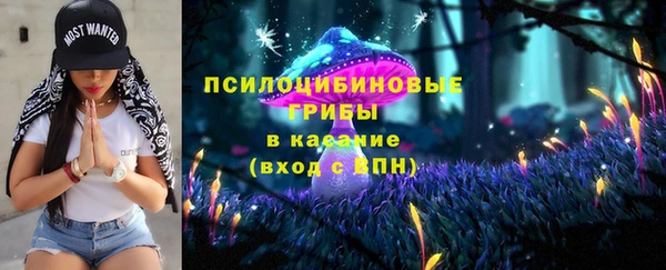 прущий лед Каменка