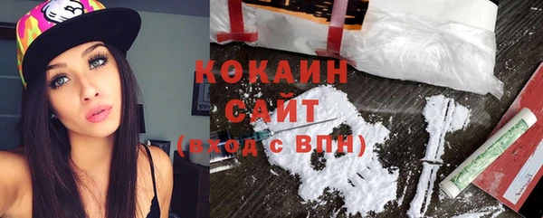 стаф Каменск-Шахтинский