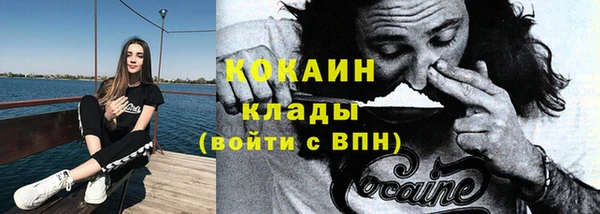 дживик Каменногорск