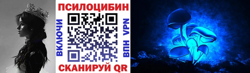 Псилоцибиновые грибы мицелий  Купить где  Данилов 